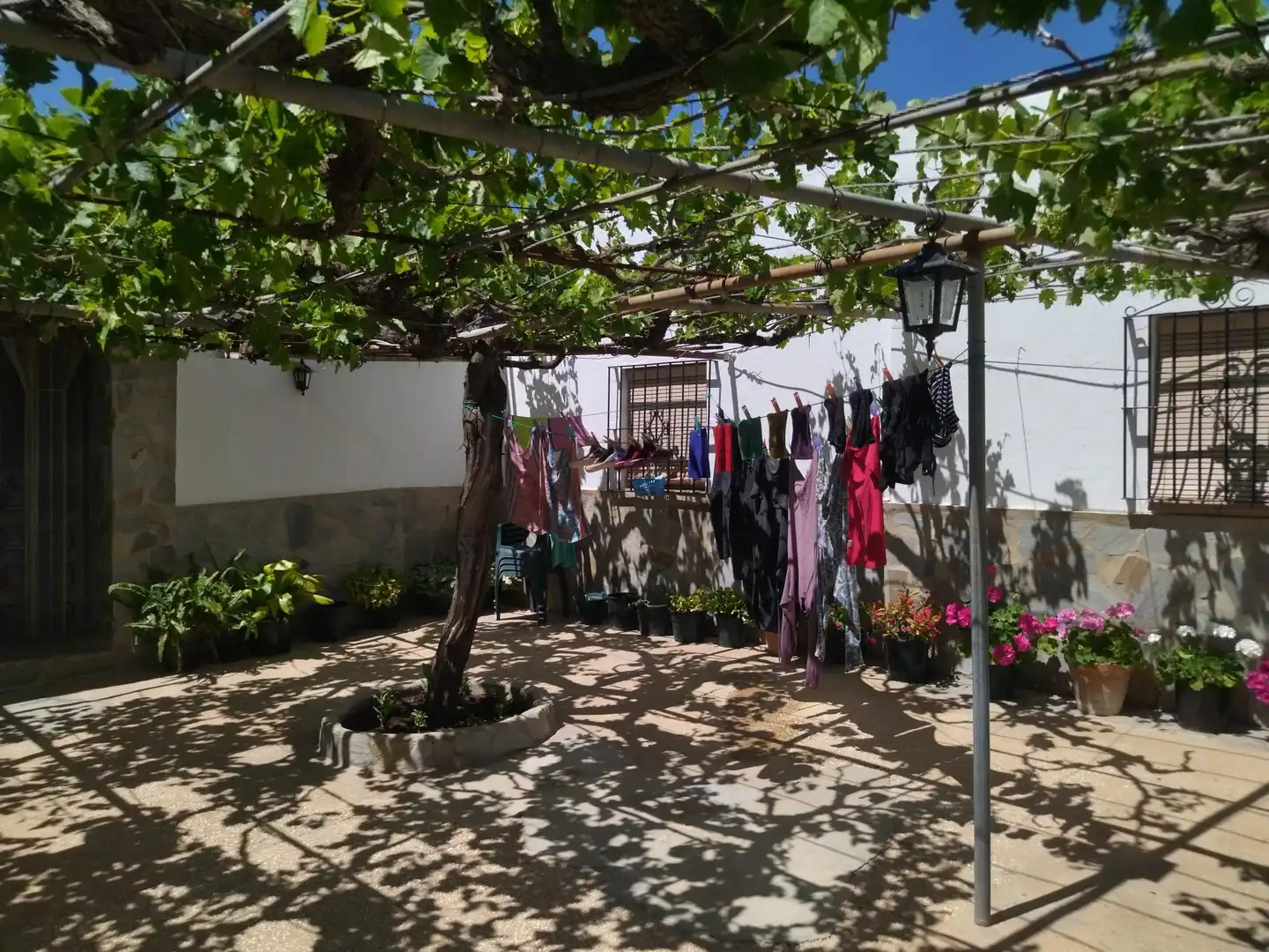 Casa rustica con giardino in vendita a Vejer, imagen 18