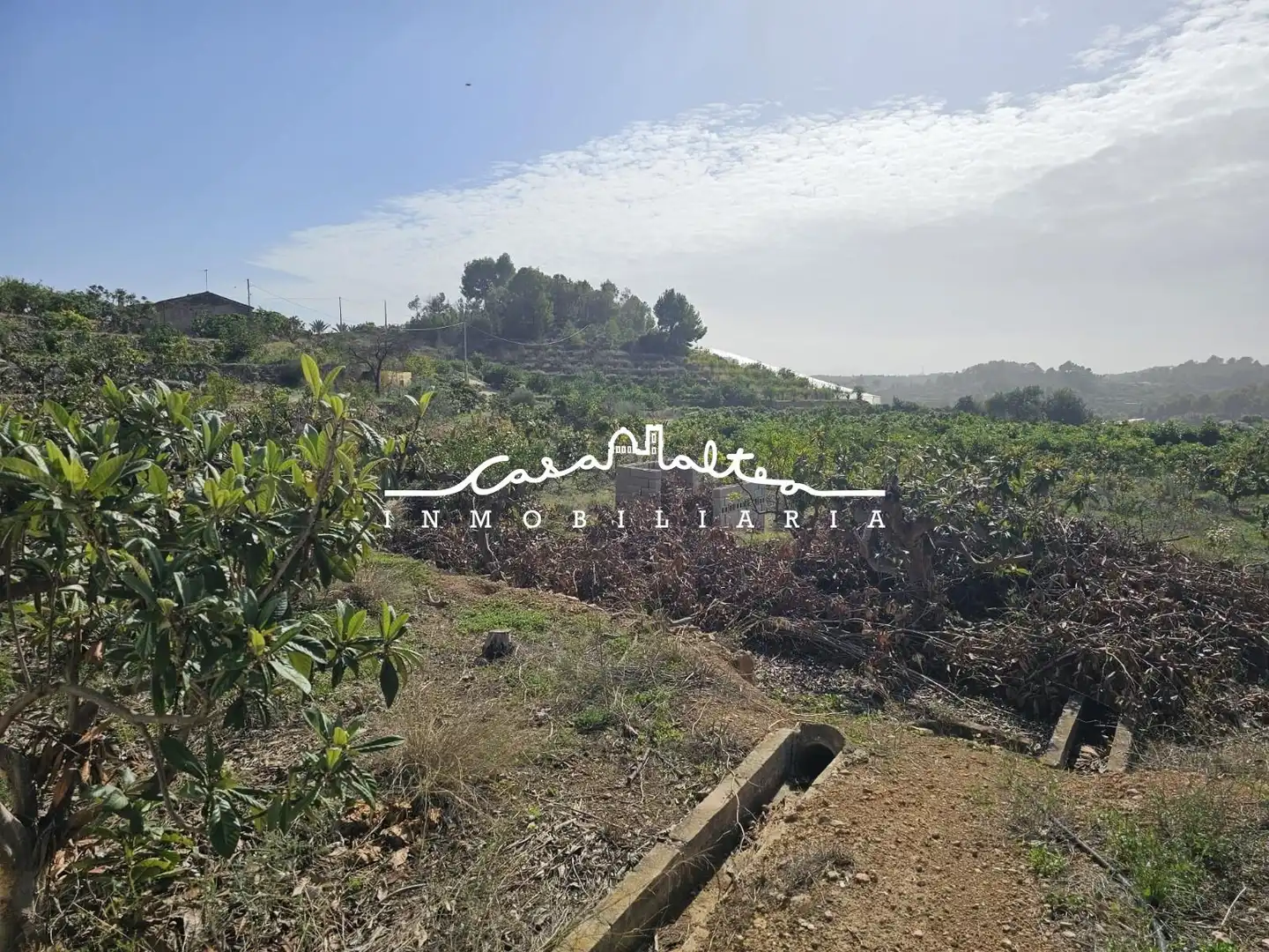 Casa rústica con jardín en venta en Callosa d'en Sarrià, imagen 20