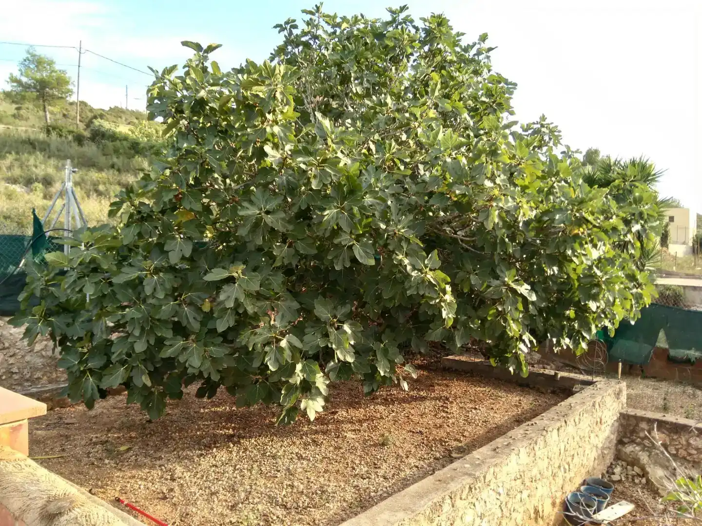 Jardí de Pis en venda en La Bisbal del Penedès amb Aire condicionat, Jardí privat i Parquet