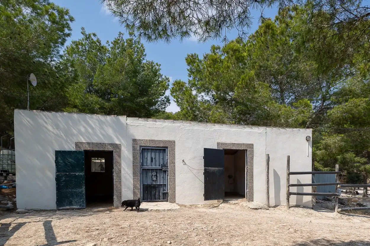 Maison rustique avec terrasse à vendre à Desamparados - Hurchillo - Torremendo, imagen 45