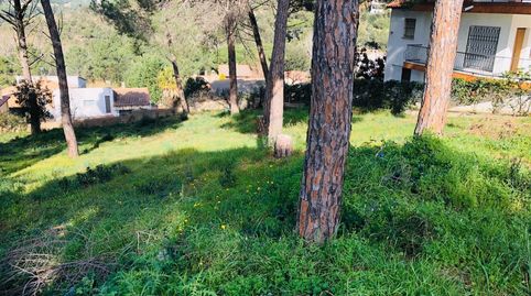 Photo 3 of Residential for sale in Mas Mora - Sant Daniel, Tordera