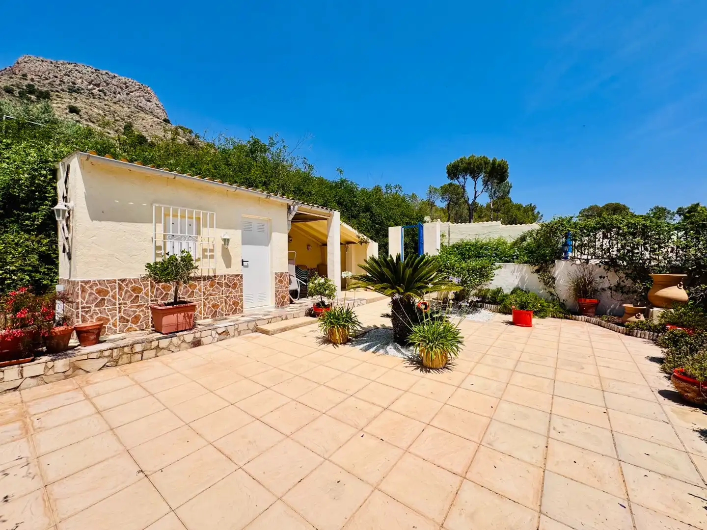 Vista exterior de Finca rústica en venda en Aspe amb Jardí privat, Terrassa i Piscina