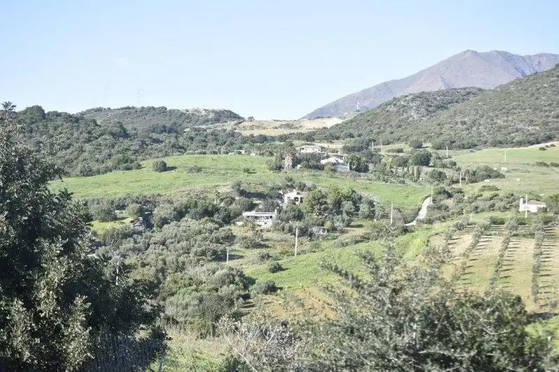 Außenansicht von Grundstücke zum Verkauf in Casares