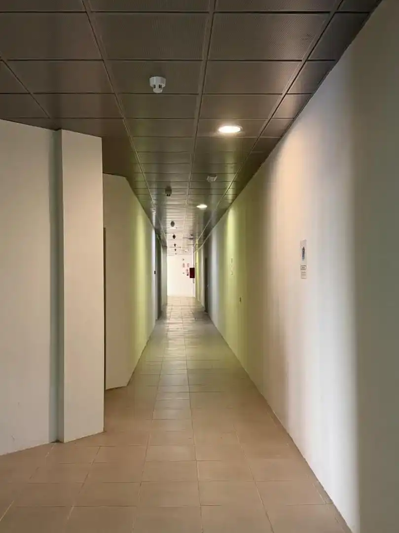 Fotografía 7