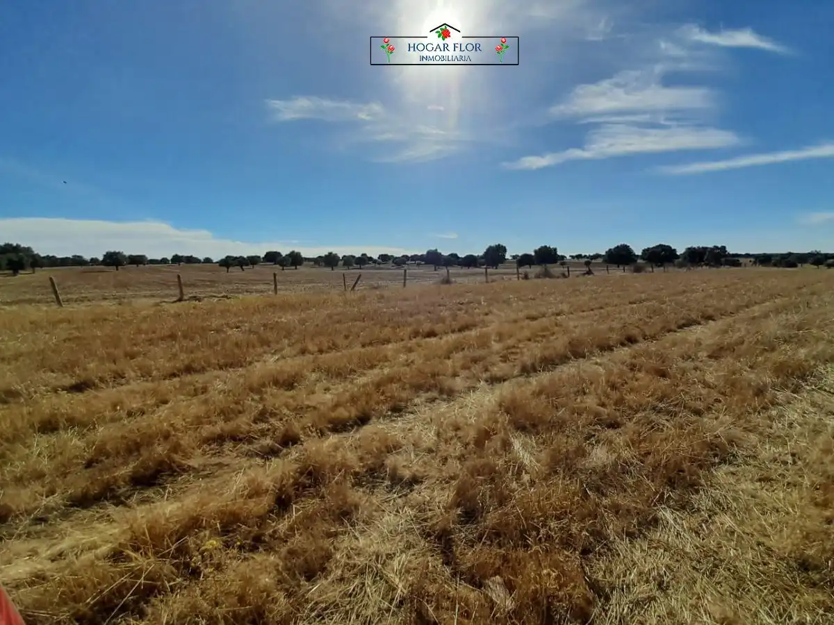 Finca rústica en venta en Carrascal del Obispo