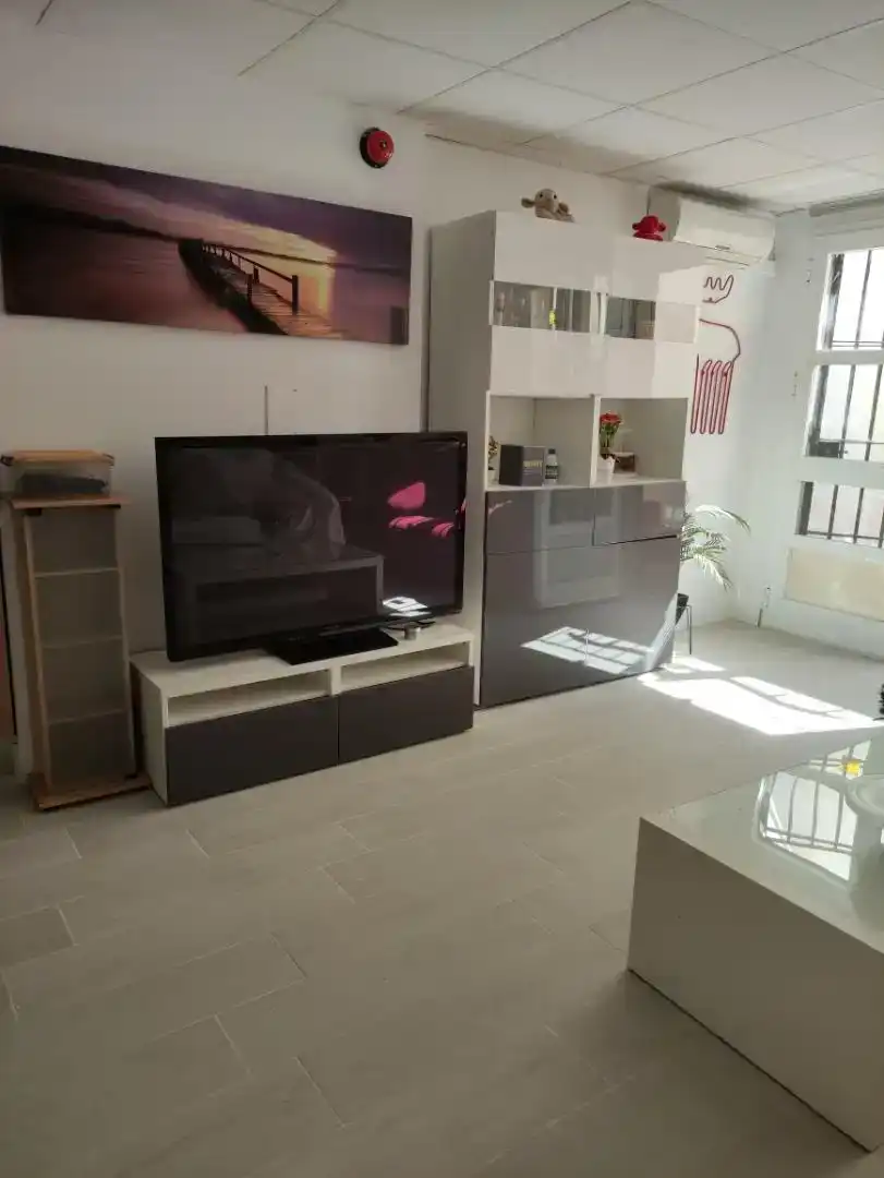 Sala de estar de Planta baja de alquiler en Montequinto con Jardín privado, Amueblado y Horno