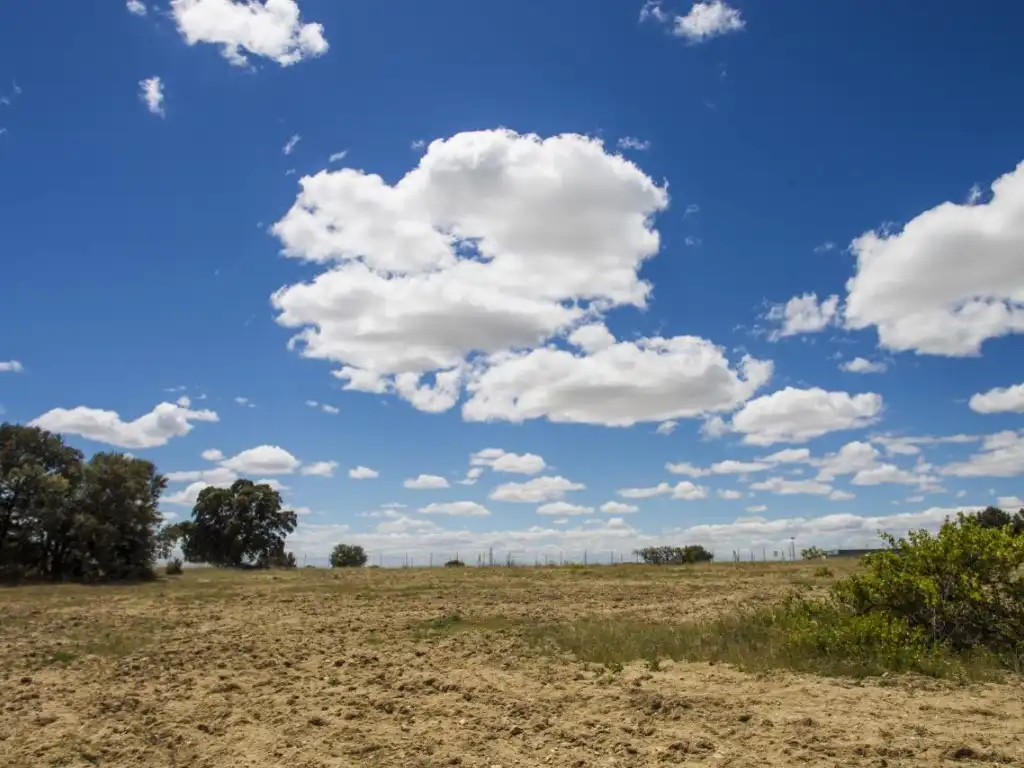 Finca rústica en venda en Navalcarnero