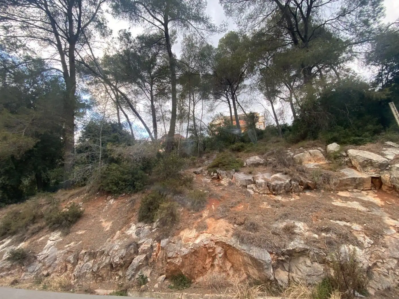 Residential land for sale in El Racó - Sant Feliu del Racó, imagen 4