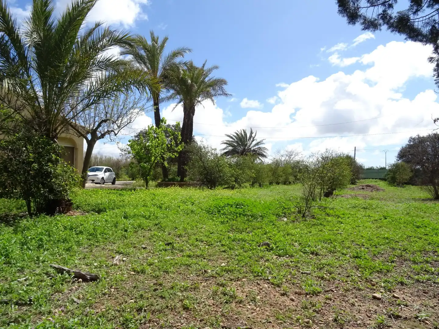Casa o xalet en venda en Cartagena amb Jardí privat