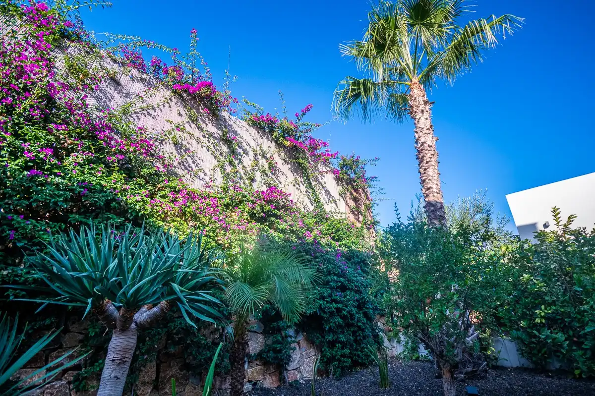 Casa con piscina in vendita a Algorfa, imagen 16