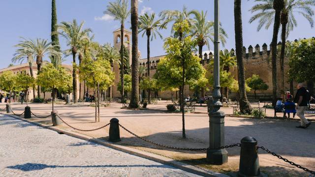 Local comercial en Alquiler en Calle caballerizas reales en Casco Histórico  - Ribera - San Basilio