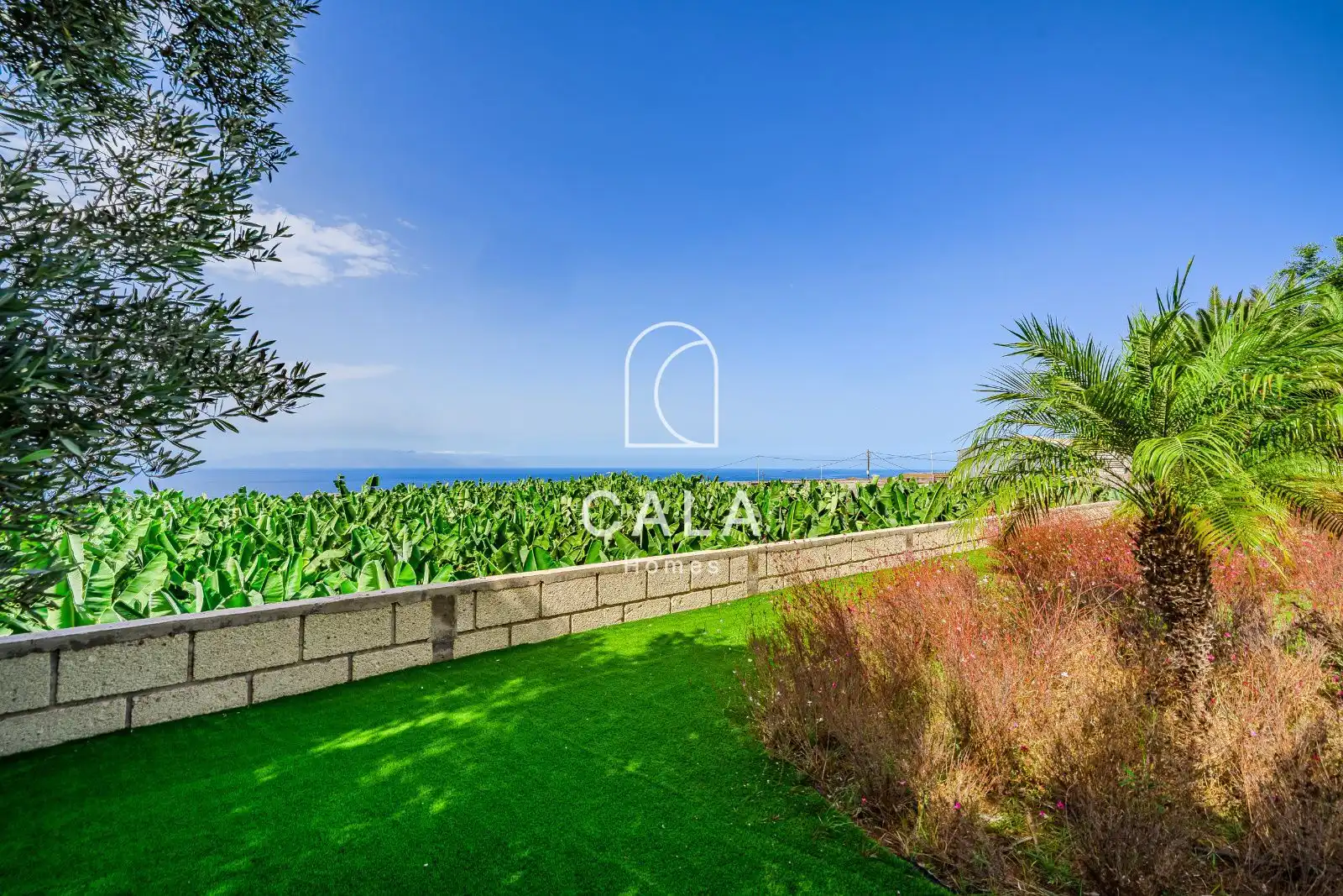 Garden of Houses for sale in Marazul - Ricasa