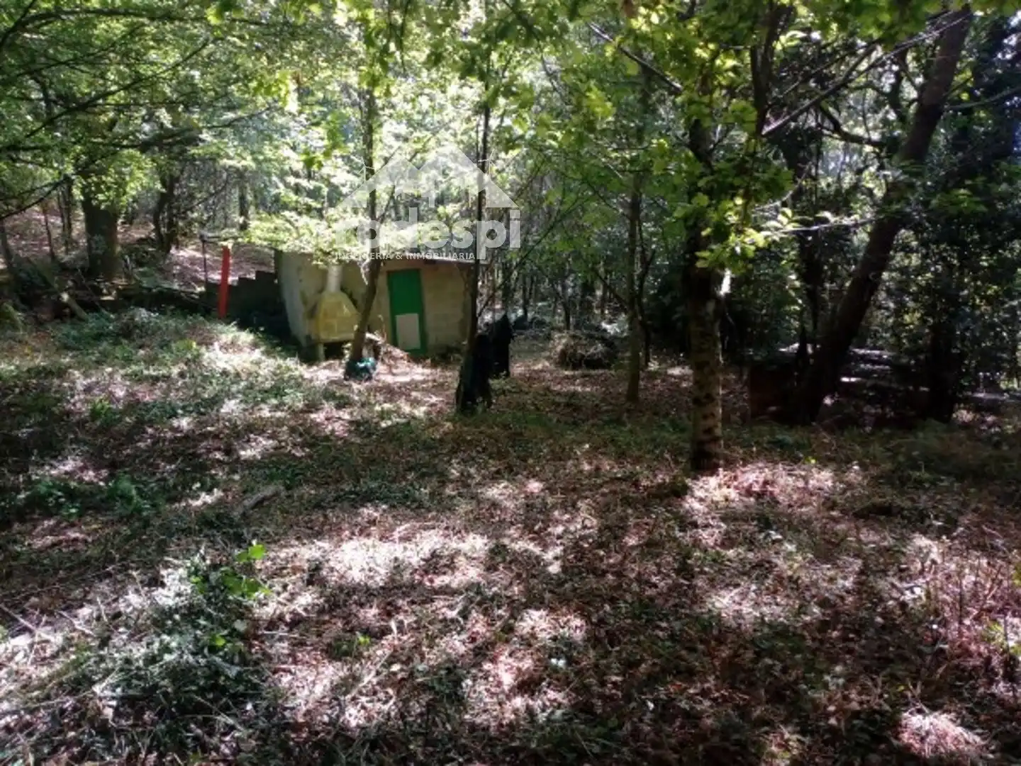 Terreny rústic en venda a A Cañiza, imagen 4