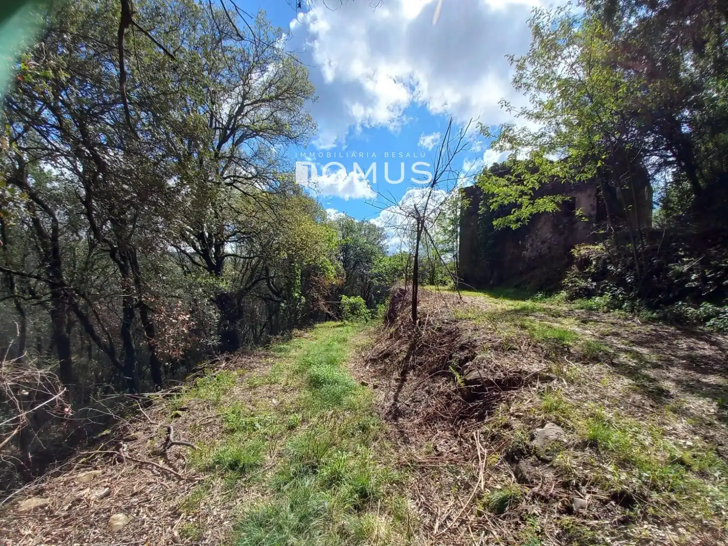 Finca rústica en venta en Sant Joan Les Fonts