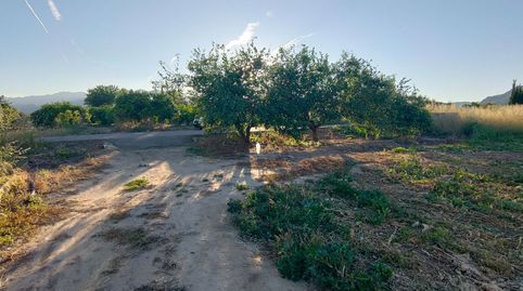 Photo 4 of Land for sale in Diseminado Poligon 4, 68, Xerta, Tarragona