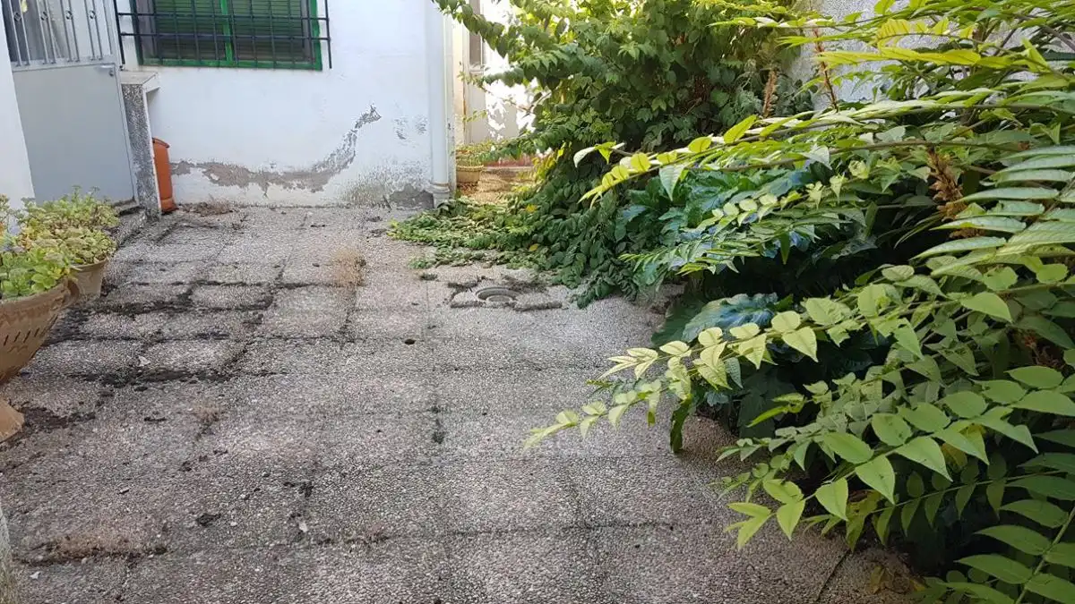 Jardí de Casa o xalet en venda en Minaya