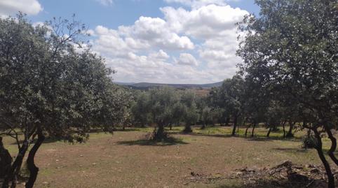 Foto 3 de Casa o chalet en venta en Aljucén, Badajoz