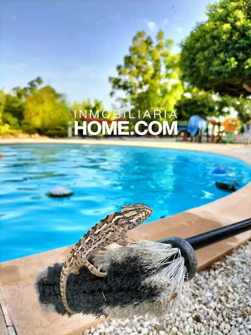 Villa con piscina in vendita a Avenida del Romeral, imagen 44