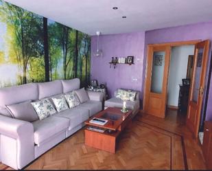 Living room of Flat for sale in La Lastrilla   with Parquet flooring and Storage room