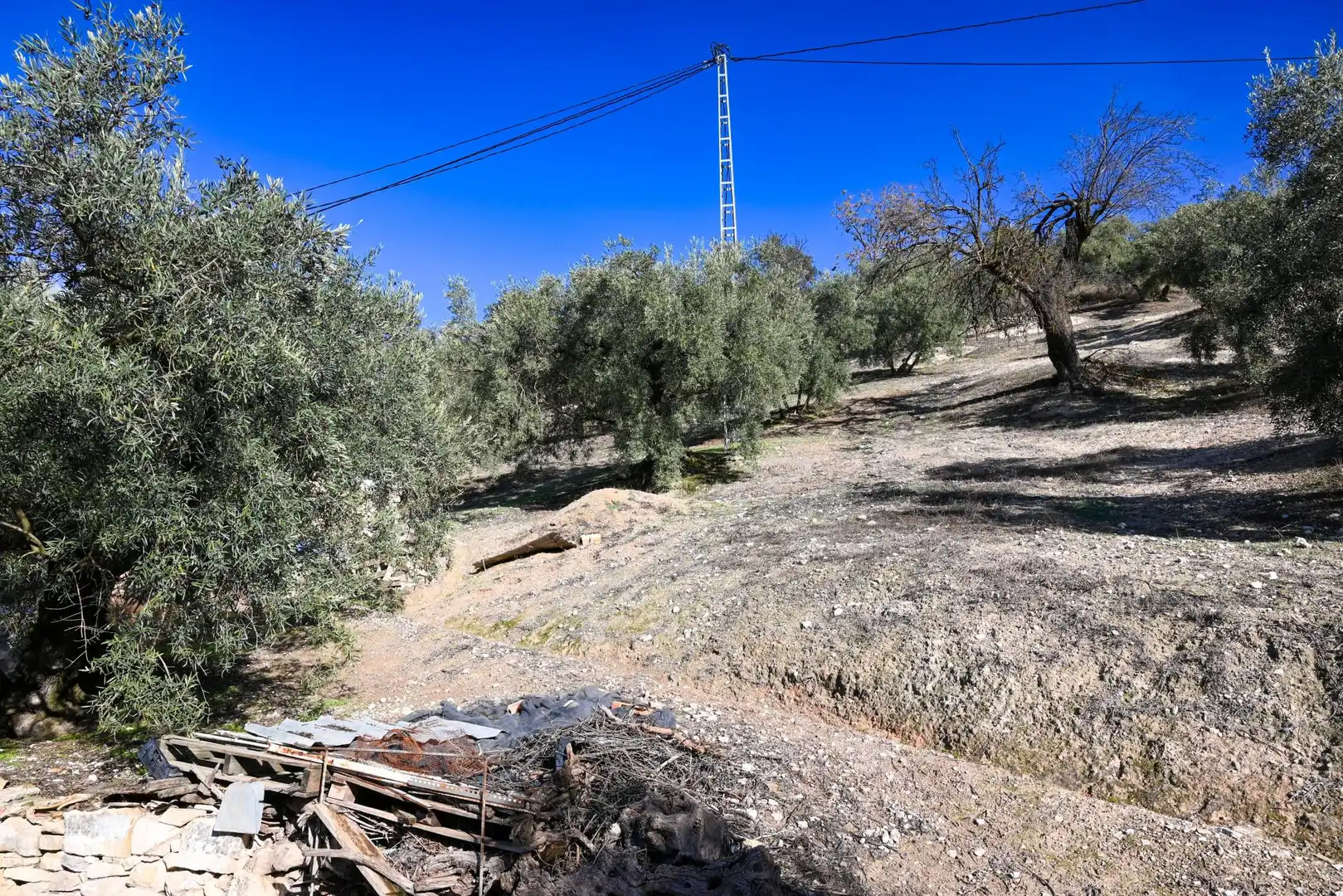 Finca rústica en venta en Villanueva de Algaidas