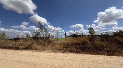Finca en venta en Almonte  Polideportivo.