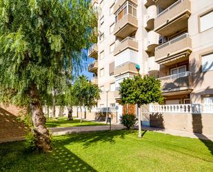Vista exterior de Apartament en venda en Torrevieja amb Terrassa i Piscina comunitària