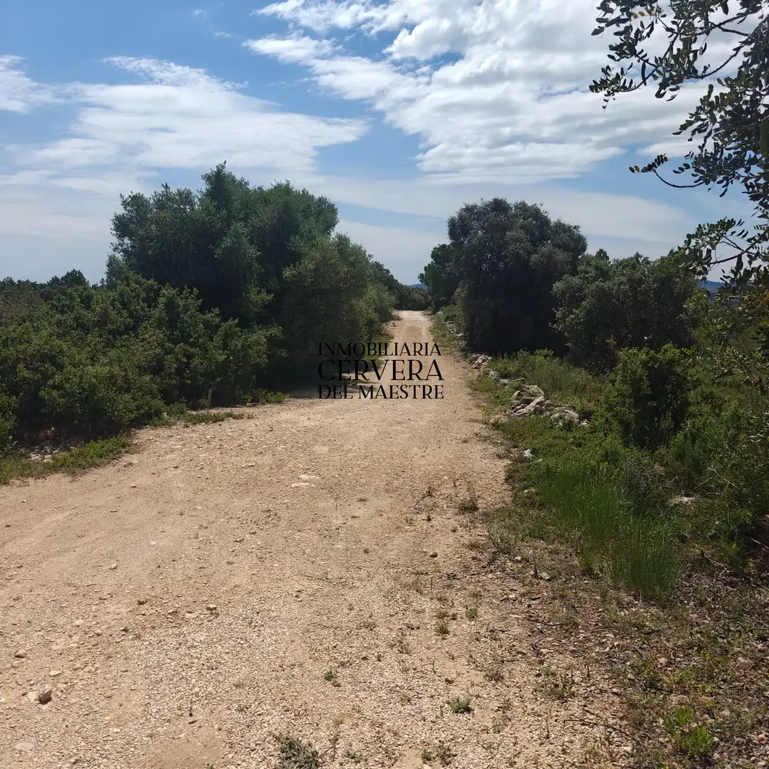 Chalet con piscina en venta en Cervera del Maestre, imagen 76