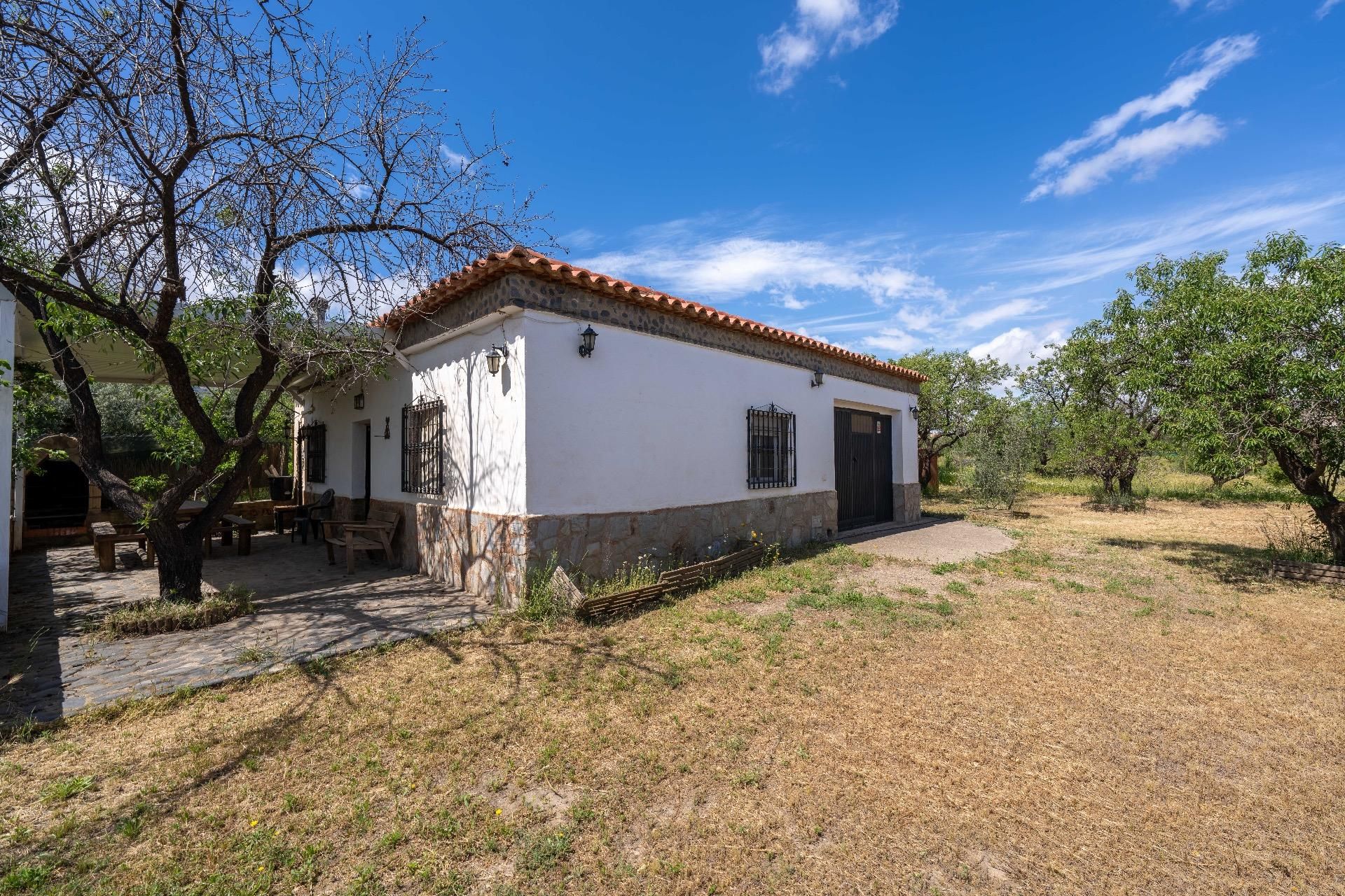 Vista exterior de Finca rústica en venta en Fiñana con Calefacción, Jardín privado y Terraza