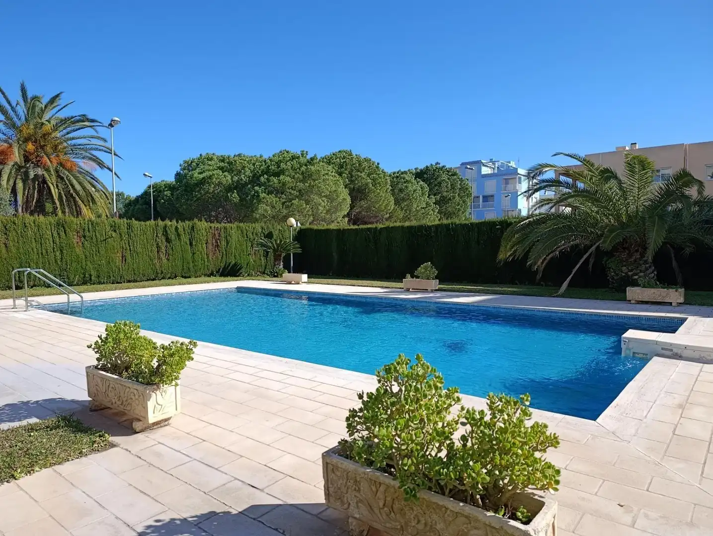 Apartments for rent in Oliva Playa