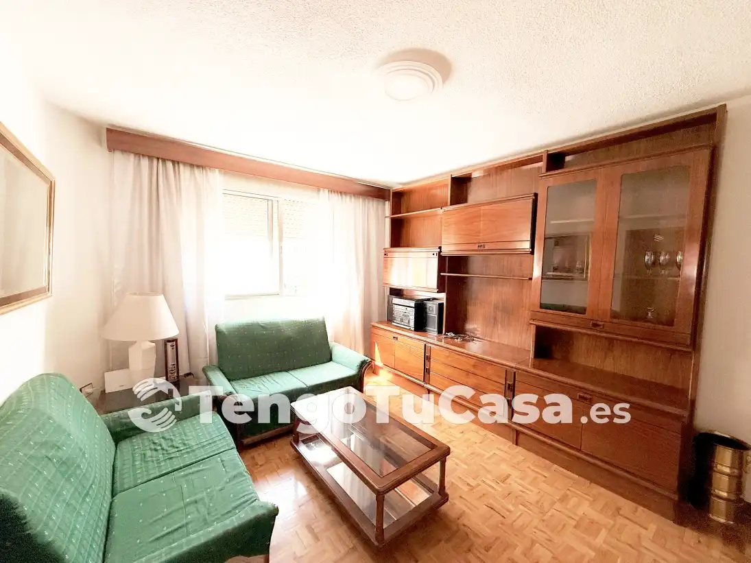Living room of Flat for rent in Madrid  with Heating, Furnished and Oven
