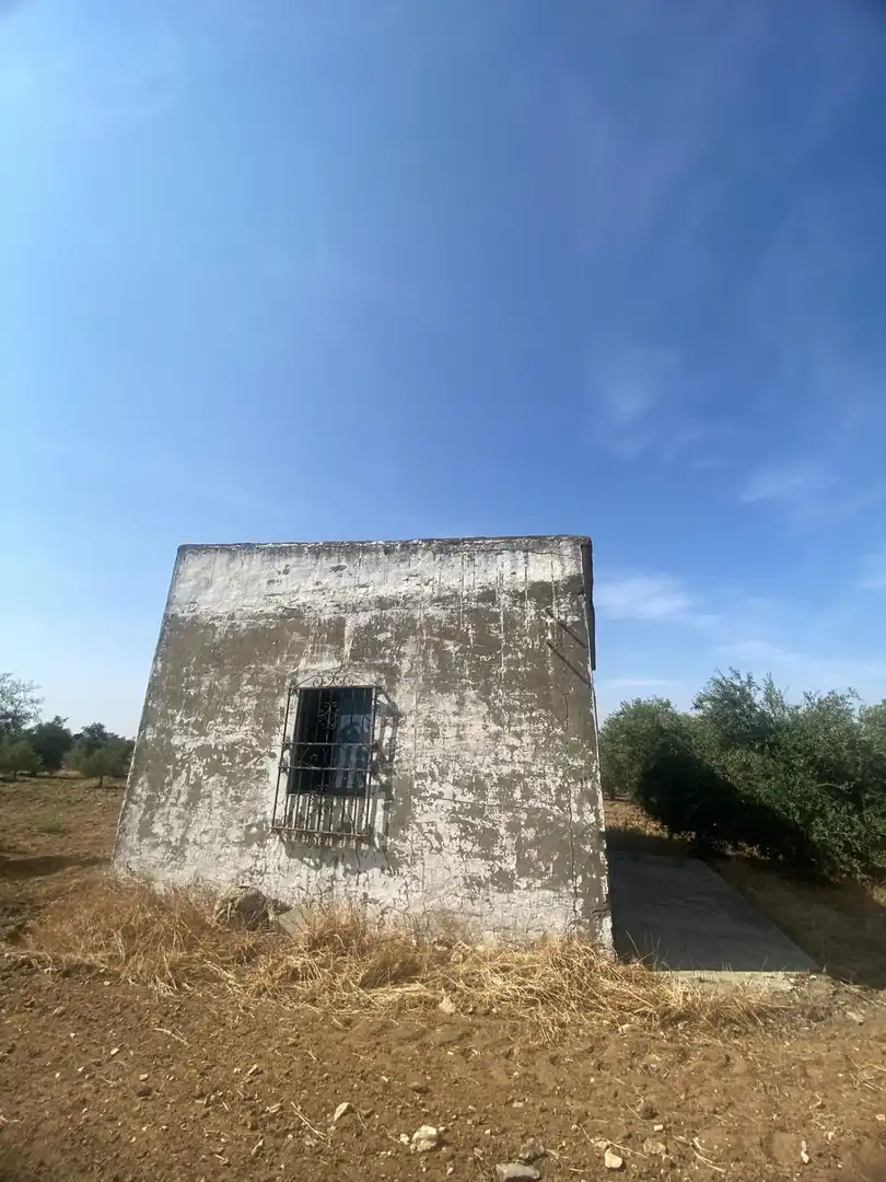 Terreno en venta en La Puebla de Cazalla