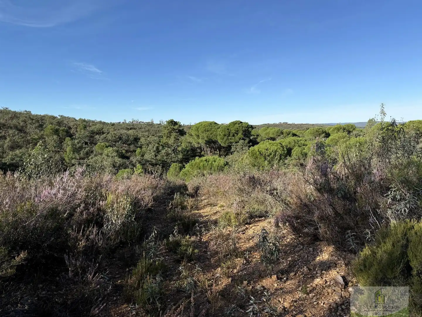 Residencial en venda en Berrocal