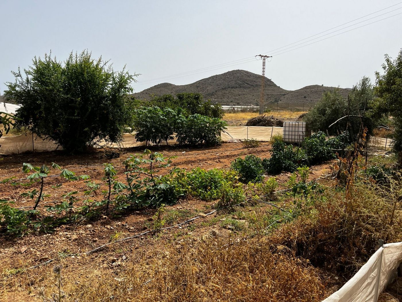 House or chalet for sale in Bolnuevo