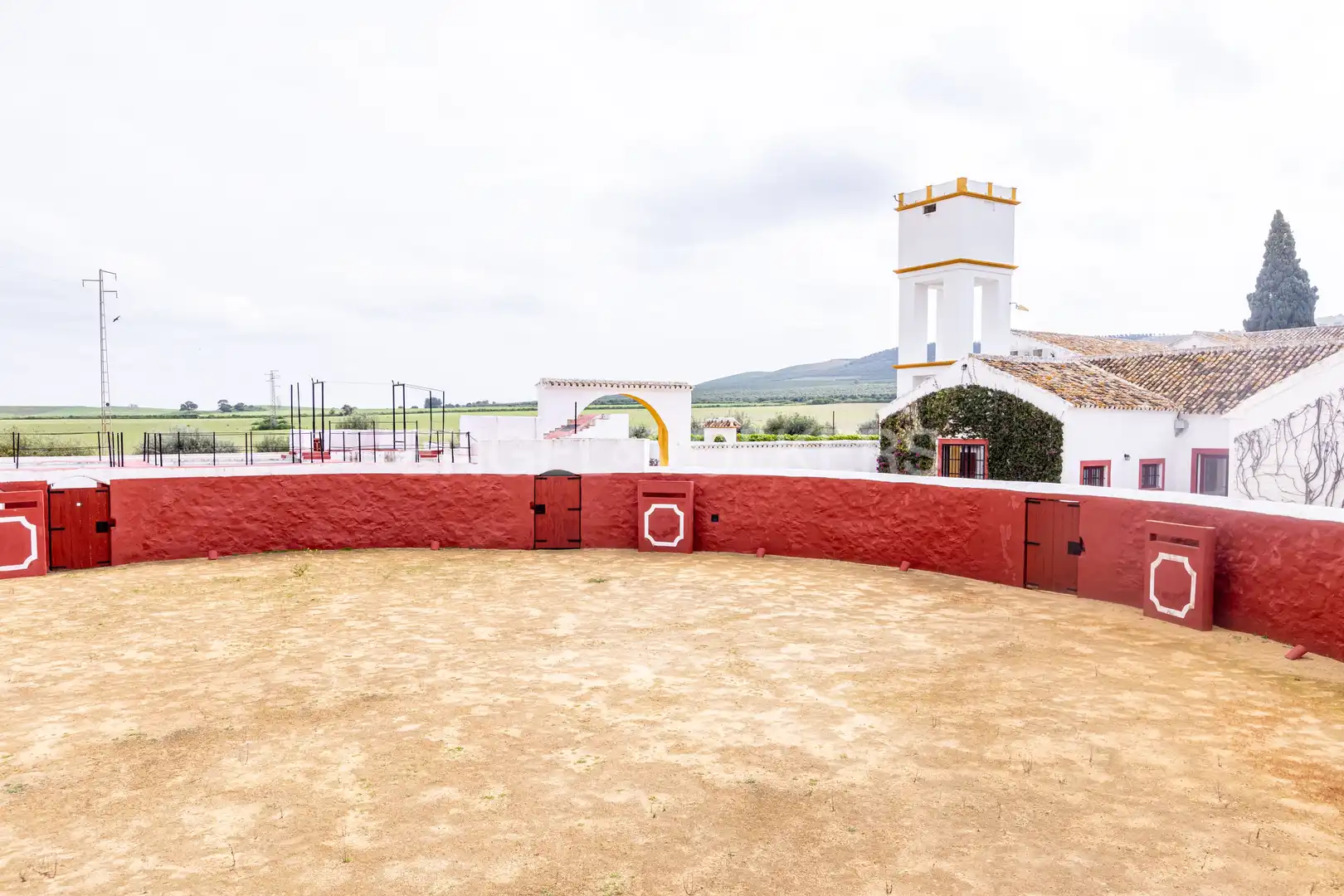 Vista exterior de Casa o chalet en venta en La Puebla de Cazalla con Calefacción, Jardín privado y Terraza