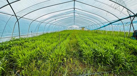 Foto 2 von Grundstücke zum Verkauf in Gavà Mar, Gavà