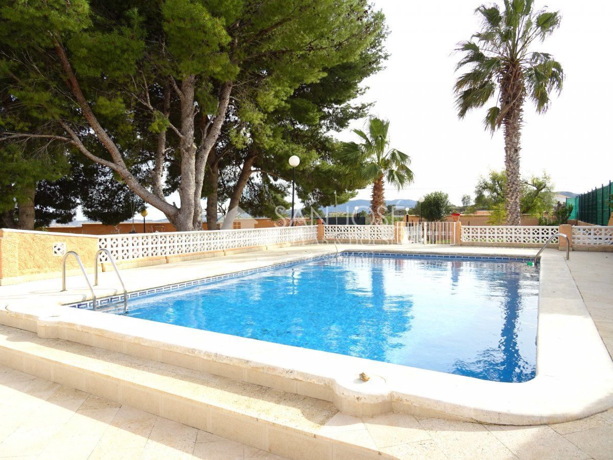 Piscina de Casa o xalet en venda en Aspe amb Aire condicionat, Calefacció i Jardí privat