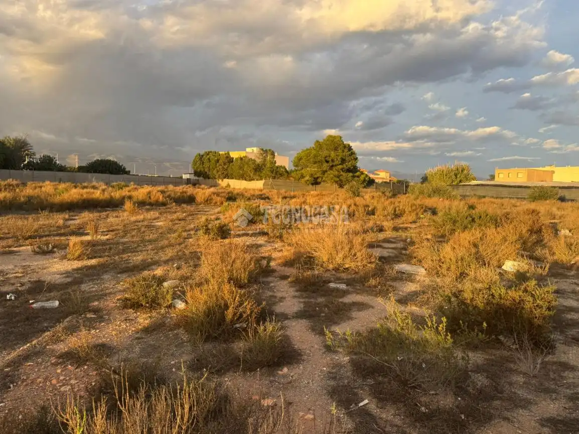 Terreno rústico en venta en Roquetas de Mar ciudad, imagen 13