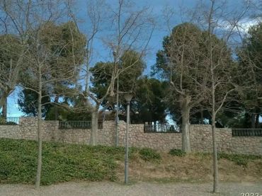 Chalet con jardín en venta en Dels pins 2