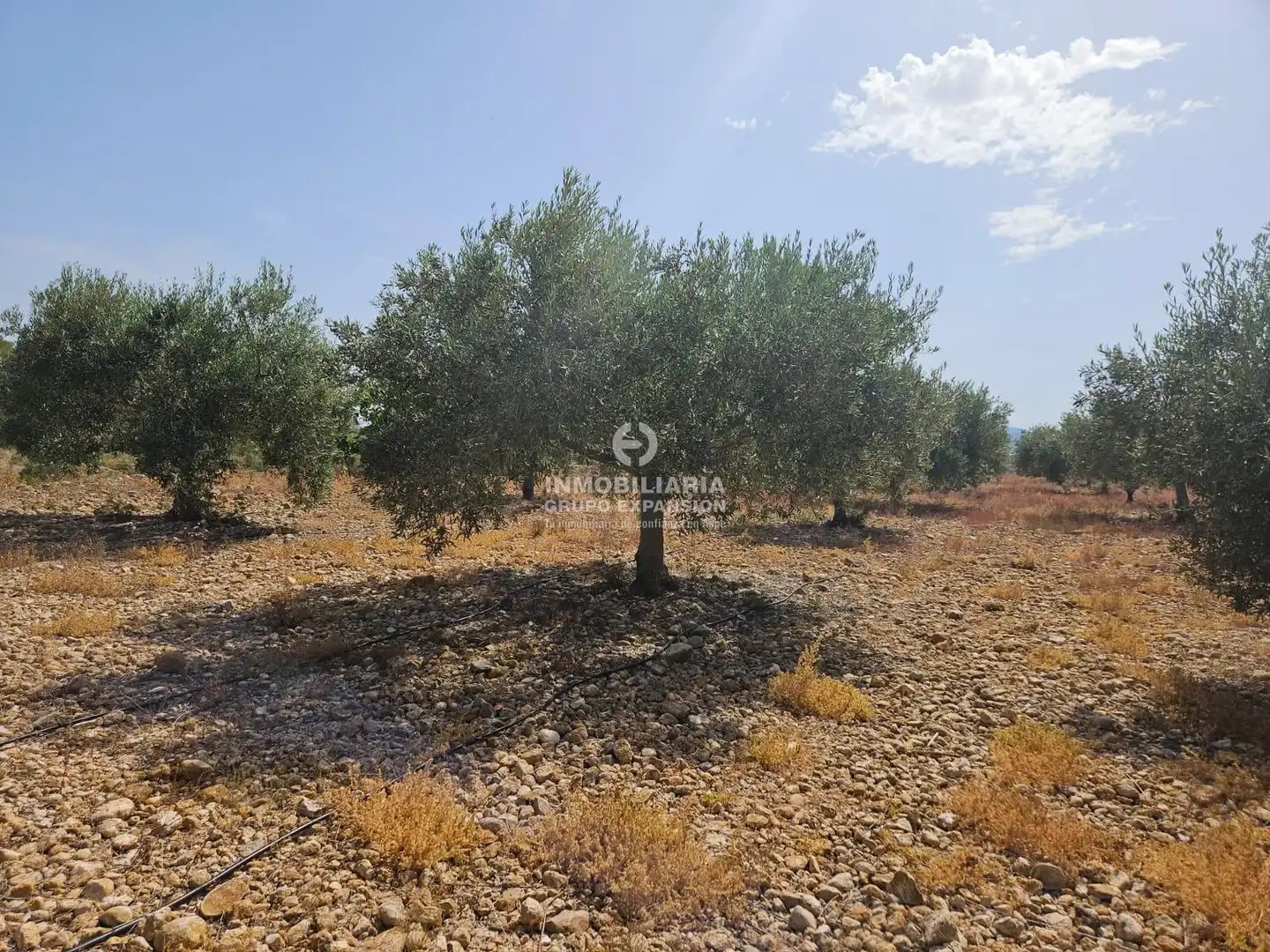 Casa o chalet en venta en Aspe