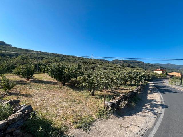 Terreno residencial en Venta en Paseo Naranjos, 116 en Valdastillas