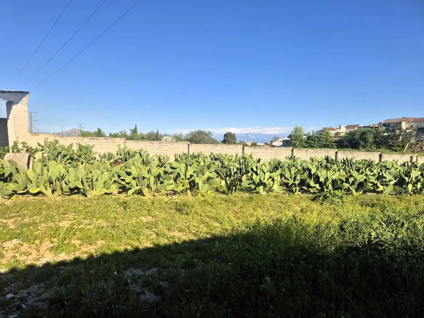 Wohnbaugrundstück zum Verkauf in Íllora, imagen 8