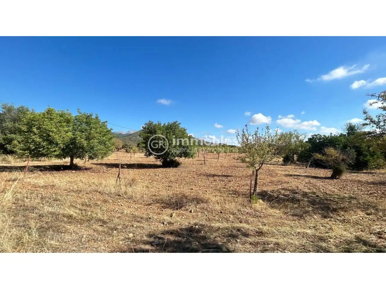 Terreno rustico in vendita a Poligono 14, imagen 5