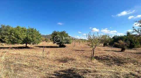 Photo 5 of Land for sale in Poligono 14, Binissalem, Illes Balears