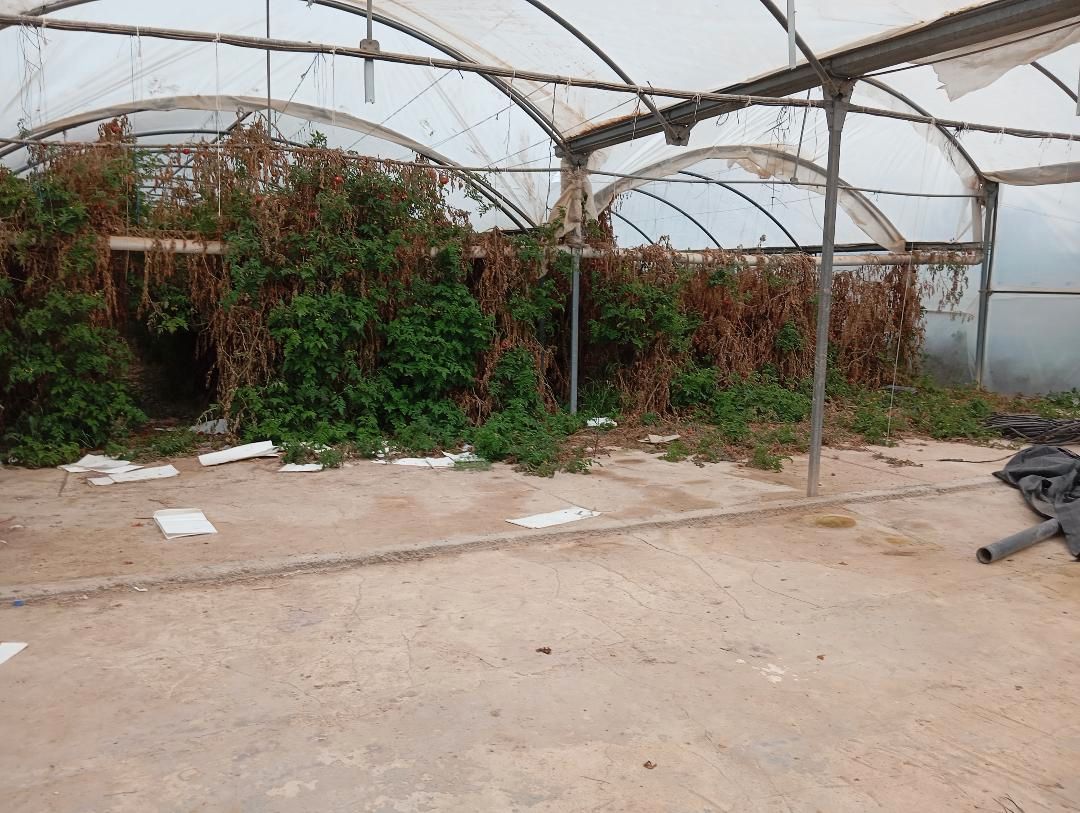 Land for sale in Elche / Elx