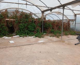 Land for sale in Elche / Elx