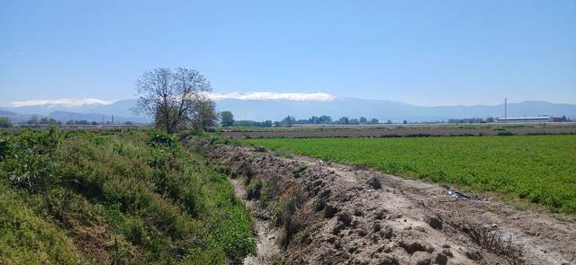 Terreno residencial en Venta en Polígono Complejo Mercagranada en Angustias - Chana - Encina