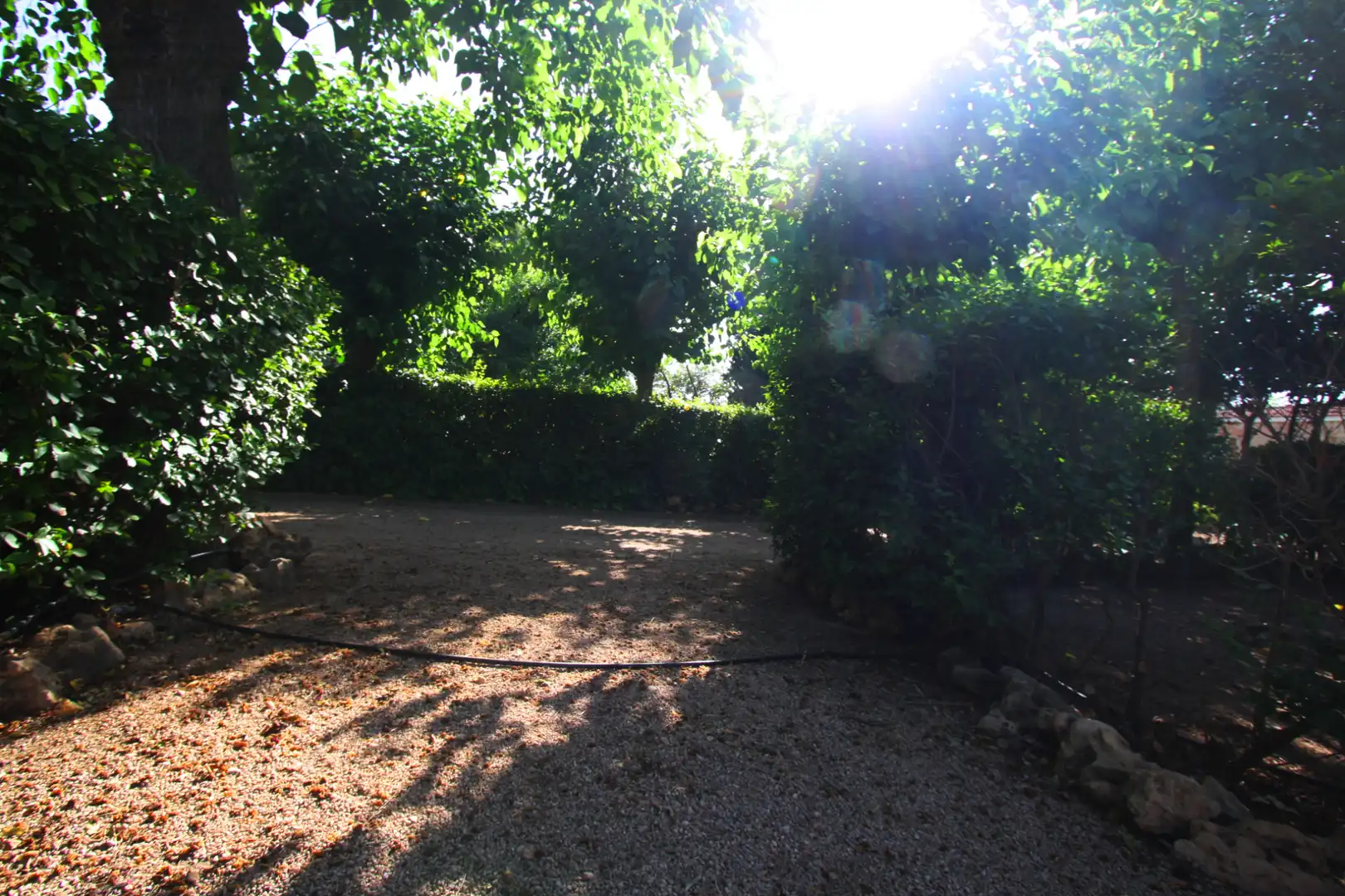 Jardí de Casa o xalet en venda en Albacete amb Aire condicionat, Jardí privat i Terrassa