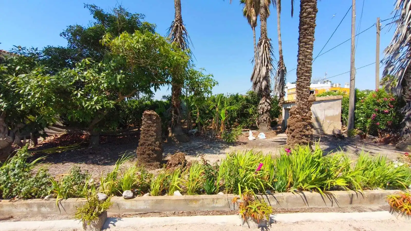 Jardín de Casa o chalet en venta en Sueca con Terraza y Piscina