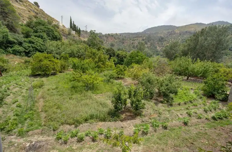 Terreno rustico in vendita a El Pinar, imagen 9