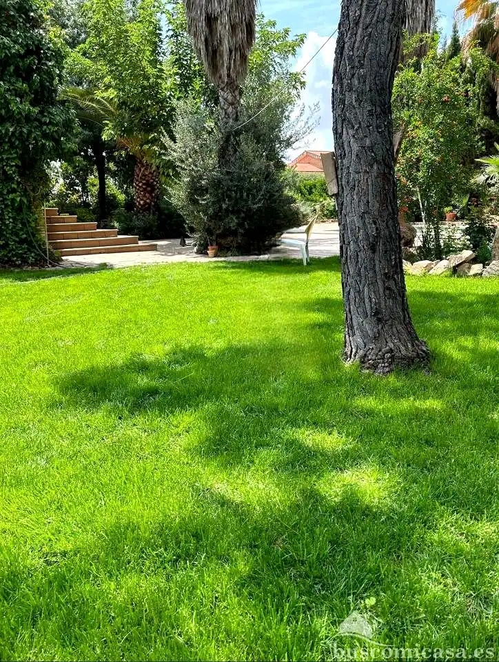 Jardí de Casa adosada en venda en Linares amb Aire condicionat, Jardí privat i Terrassa